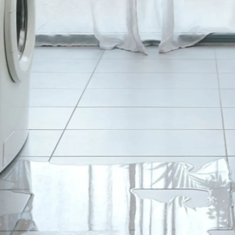 Appliance Leak Cleanup in Polk County, GA