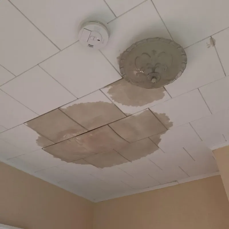 Ceiling Water Damage Repair in Polk County, GA