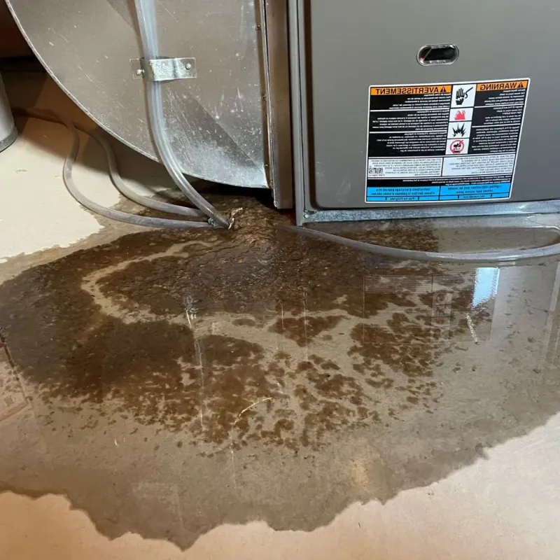 Pipe Burst and Leak Restoration in Polk County, GA