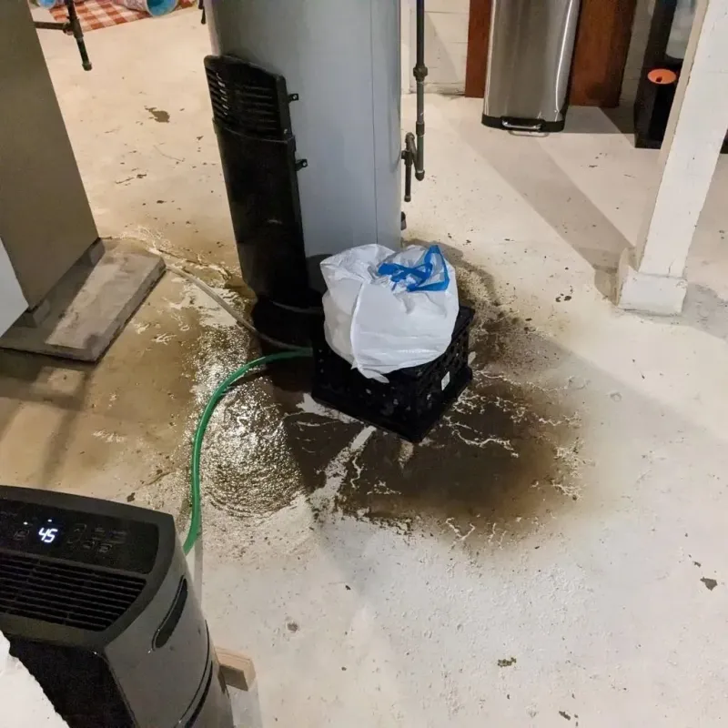 Sewage Backup Cleanup Service in Polk County, GA